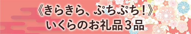 《きらきら、ぷちぷち！》いくらのお礼品３品