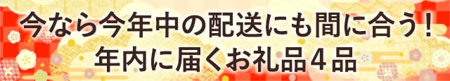 今なら今年中の配送にも間に合う！年内に届くお礼品４品
