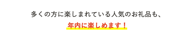 多くの方に楽しまれている人気のお礼品も、年内に楽しめます！