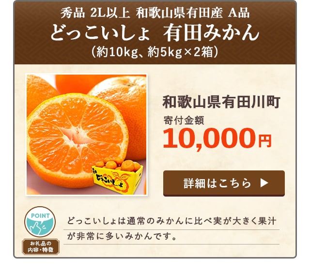 「どっこいしょ 有田みかん 秀品 2L以上 和歌山県有田産 A品」(約10kg、約5kg×2箱)/和歌山県有田川町（寄付金額 10,000円）