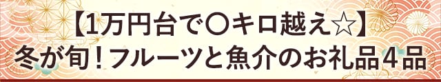 【1万円台で〇キロ越え☆】冬が旬！フルーツと魚介のお礼品４品