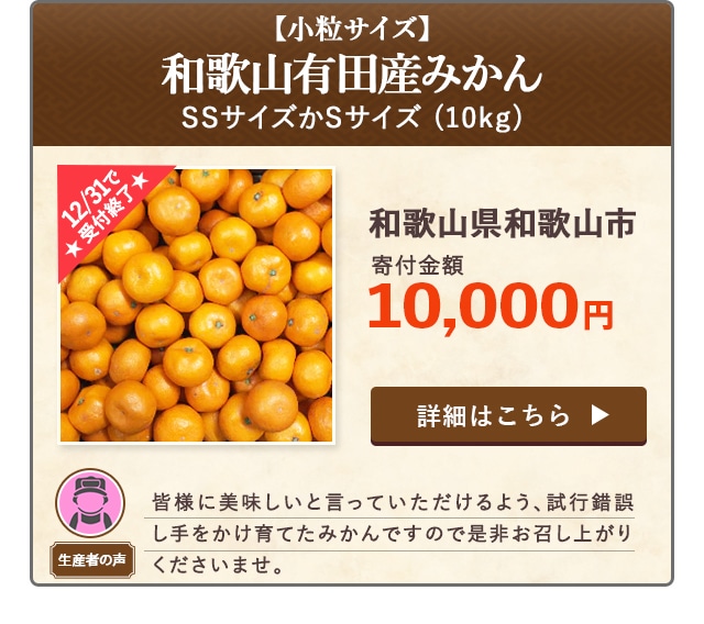 「【小粒サイズ】和歌山有田産みかん(SSサイズかSサイズ)」(10kg)/和歌山県和歌山市（寄付金額 10,000円）