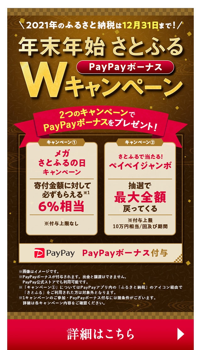 ＼2021年のふるさと納税は12月31日まで！／年末年始Wキャンペーン