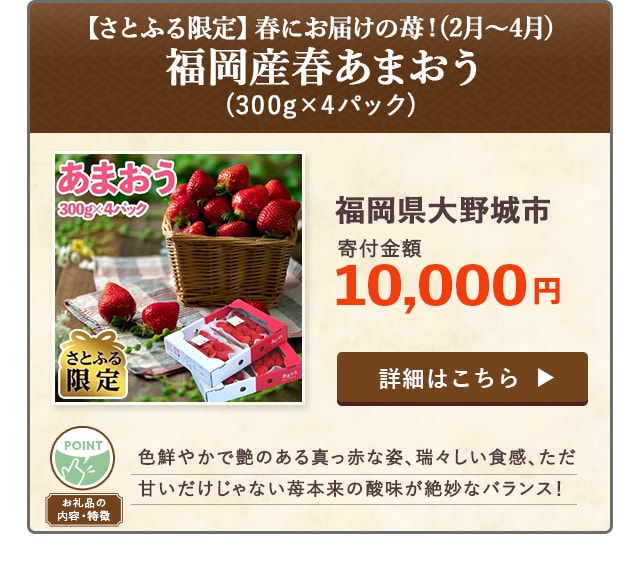 「【さとふる限定】春にお届けの苺！(2月〜4月)福岡産春あまおう」(300g×4パック)/福岡県大野城市（寄付金額 10,000円）