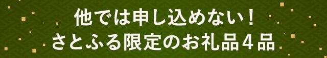 他では申し込めない！さとふる限定のお礼品４品