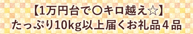 【1万円台で〇キロ越え☆】たっぷり10kg以上届くお礼品４品