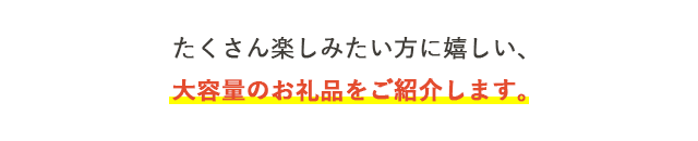 たくさん楽しみたい方に嬉しい、大容量のお礼品をご紹介します。