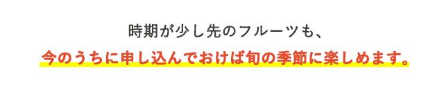 時期が少し先のフルーツも、今のうちに申し込んでおけば旬の季節に楽しめます。