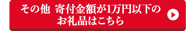 その他 寄付金額が1万円以下のお礼品はこちら