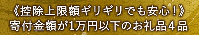 《控除上限額ギリギリでも安心！》寄付金額が1万円以下のお礼品４品