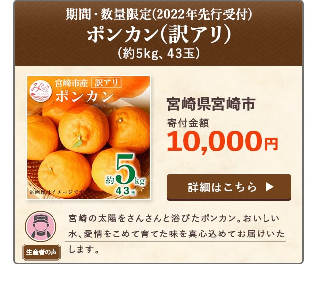 「ポンカン(訳アリ)期間・数量限定(2022年先行受付)」(約5kg、43玉)/宮崎県宮崎市（寄付金額 10,000円）