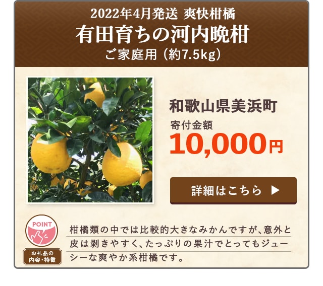 「【2022年4月発送】【爽快柑橘】有田育ちの河内晩柑(ご家庭用)」(約7.5kg)/和歌山県美浜町（寄付金額 10,000円）