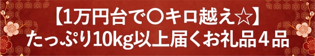 【1万円台で〇キロ越え☆】たっぷり10kg以上届くお礼品４品