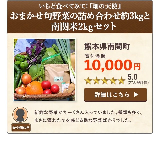 【★５．０(２７人が評価)】「いちど食べてみて!『畑の天使』おまかせ旬野菜の詰め合わせ約3kgと南関米2kgセット」/熊本県南関町（寄付金額 10,000円）