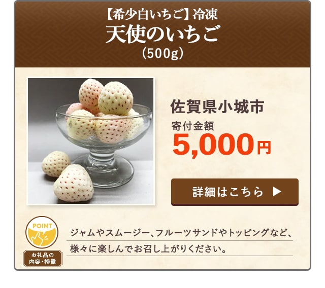 「【希少白いちご】冷凍 天使のいちご」(500g)/佐賀県小城市（寄付金額 5,000円）