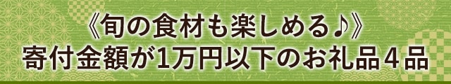 《旬の食材も楽しめる♪》寄付金額が1万円以下のお礼品４品
