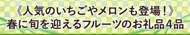 《人気のいちごやメロンも登場！》春に旬を迎えるフルーツのお礼品４品