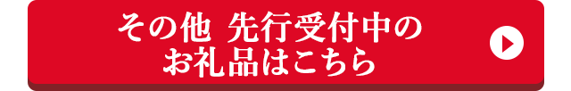 その他 先行受付中のお礼品はこちら