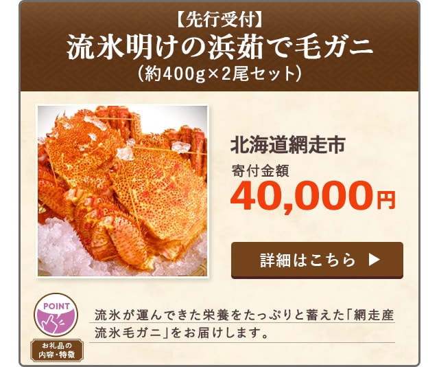 「先行受付 流氷明けの浜茹で毛ガニ」(約400g×2尾セット)/北海道網走市（寄付金額 40,000円）