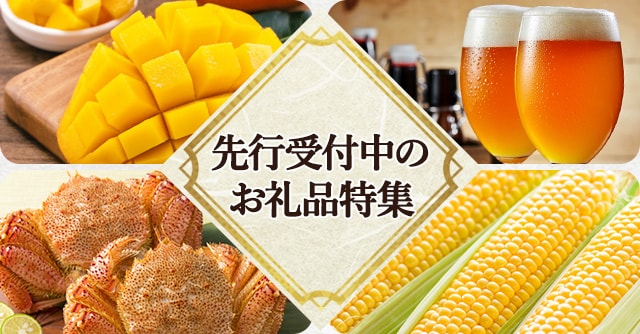 先行受付中のお礼品特集