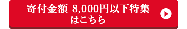 寄付金額 8,000円以下特集はこちら