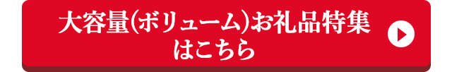 大容量(ボリューム)お礼品特集はこちら