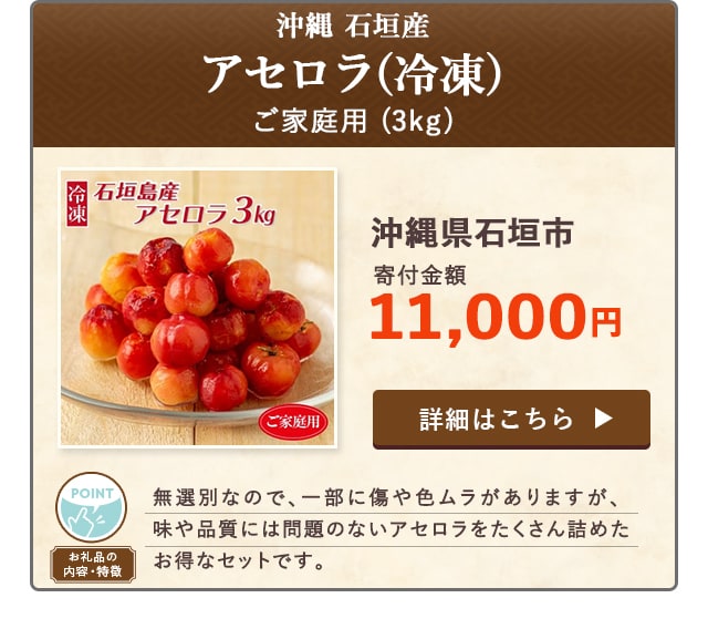 「沖縄 石垣産 《ご家庭用》アセロラ(冷凍)」(3kg)/沖縄県石垣市（寄付金額 11,000円）