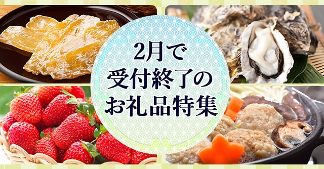 2月で受付終了のお礼品特集