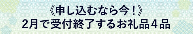 《申し込むなら今！》２月で受付終了するお礼品４品