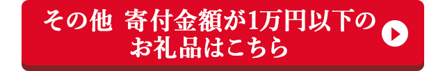 その他 寄付金額が1万円以下のお礼品はこちら