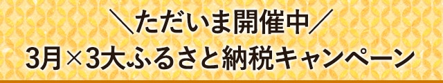 ＼ただいま開催中／3月3大ふるさと納税キャンペーン