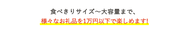 食べきりサイズ～大容量まで、様々なお礼品を1万円以下で楽しめます！