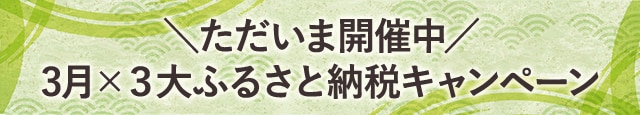 ＼ただいま開催中！／3月×3大ふるさと納税キャンペーン