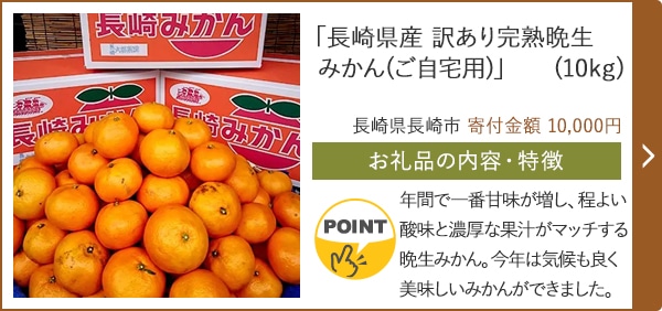 「長崎県産 訳あり完熟晩生みかん(ご自宅用)」(10kg)/長崎県長崎市 寄付金額 10,000円
