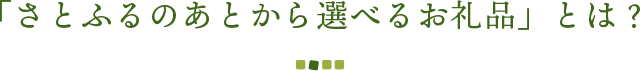 「さとふるのあとから選べるお礼品」とは？
