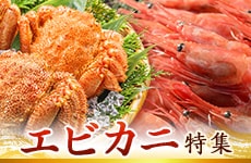 ふるさと納税 絶品！海の幸 エビカニ特集