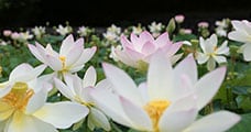 和歌山県御坊市