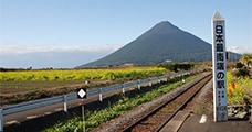 鹿児島県指宿市