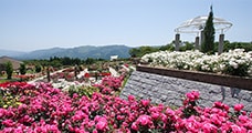 鹿児島県鹿屋市