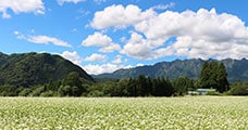長野県長野市