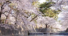 兵庫県西宮市
