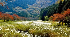 兵庫県丹波篠山市