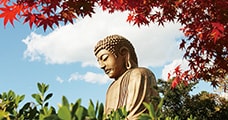 愛知県東海市