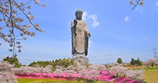 茨城県牛久市