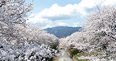 奈良県大和高田市