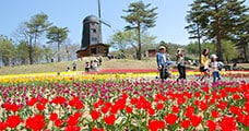 岩手県軽米町