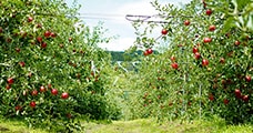 福岡県川崎町