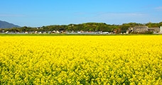 福岡県遠賀町
