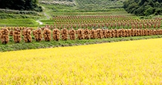 山形県山辺町