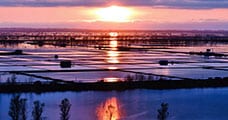 秋田県大潟村